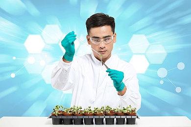 《宝可梦：大集结》官宣索罗亚克即将加入战斗